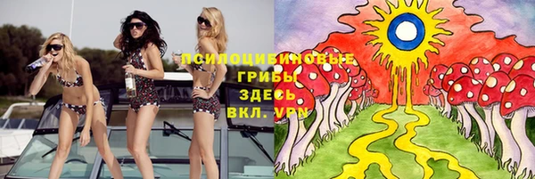 СК Верхний Тагил